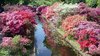 Keukenhof Flowershow 2011 Neth