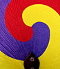 fan colours