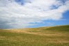 Grass and sky