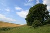 Farmland