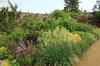 Flower garden