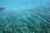 Clear sea, rocky floor