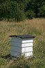Beehives