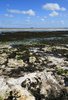 Low tide