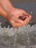 catching the wave