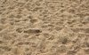Beach sand with footprints