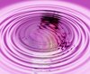Ripple Reflection