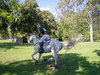 Cross Country 1
