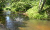 Belarusian Summer