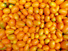 kumqat colour