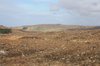 Moorland