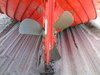 Ship's Screw