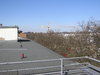 On the roof