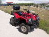 buggy
