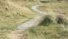 Path through the dunes