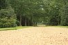 Woodland path