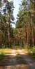 Down the Road