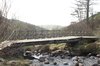 Forest bridge