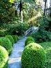 Bridge to the secret garden