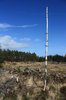 Forest clearing