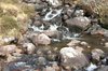Stream