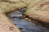 Stream