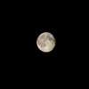 The moon