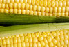 Corn 4