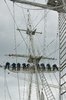 Royal Navy Cadets