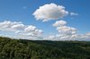 Forest and cloud