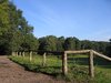 summer park scenery