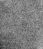 Leather Texture 6