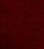 Leather Texture 4
