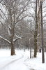 Snow scene