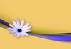Flower and Ribbon abstract