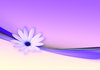 Flower and Ribbon abstract