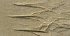 Sand patterns