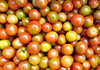 tomatoes - small round