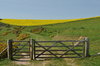 Gate blocking pathway