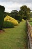 Topiary