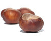 chestnuts time