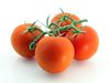TOMATO-TOMATOES