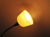 room light