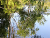 upside down reflections