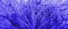 blue alien skin