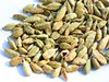 cardamom