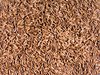organic caraway texture