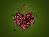 butterflies in heart