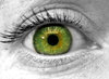 Manon's Eye