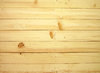 Wood Texture